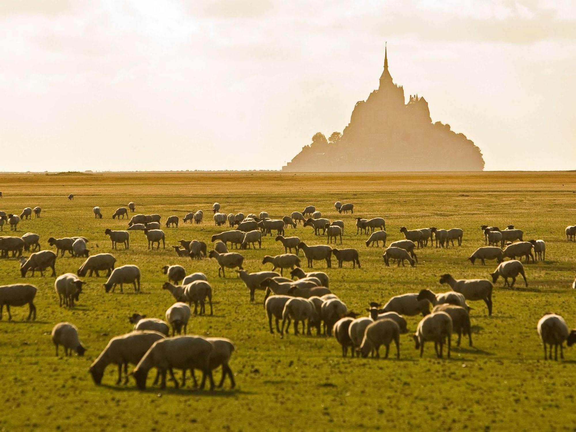 Hotelf1 Avranches Baie Du Mont Saint Michel Eksteriør billede